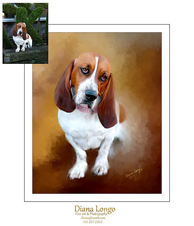 Bailey-web fb_003-2