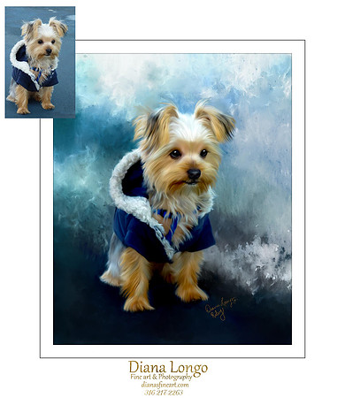 Rain Longson-Riley-yorkie-web-fb_106