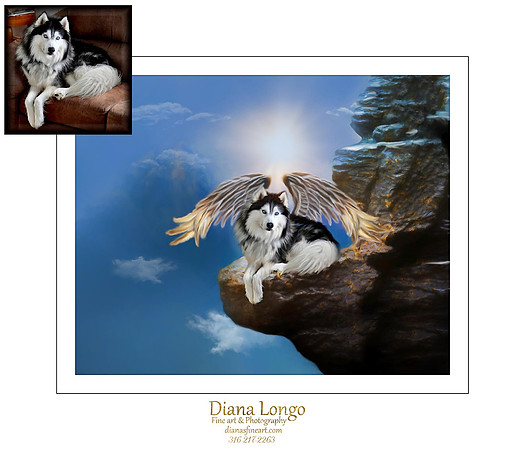 rebecca coon-zorro-wings both sides-clouds-web fb-8