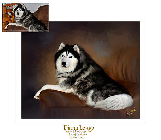 rebecca coon-zorro couch-web fb-01_15