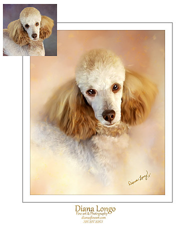 poodle-web fb-3