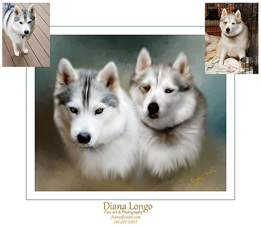 joann ganski-stormy falcon-website_008