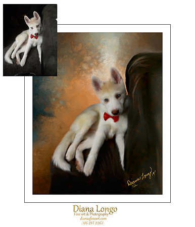 Wanda Hayes Tela puppy web fb-1_007