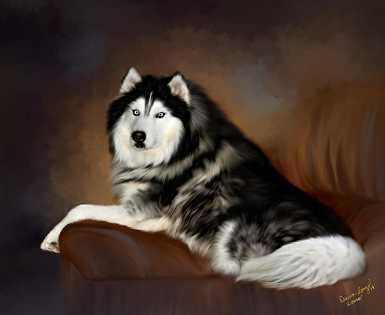 zorro couch-web give-01_15