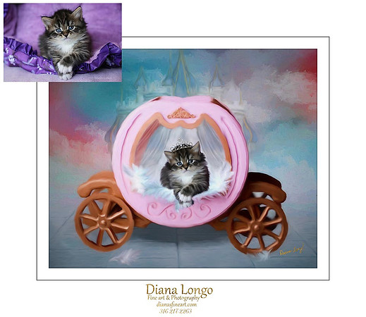 tiger kitten coach-website fb_002
